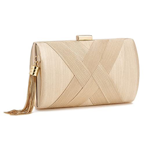 ZOUIQSS Pochette Donna,Pochette da sera Borsa da sera con frange,Borsa...