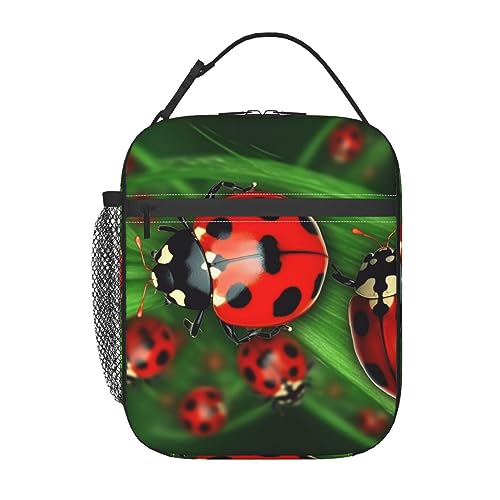 OPSREY Borsa termica per il pranzo, riutilizzabile, con stampa di...