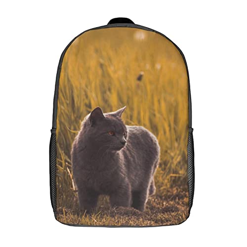 Borsa da scuola unisex Zaino Cat Fashion Borsa da scuola per bambini...